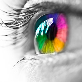 Same Day Envelope Printing